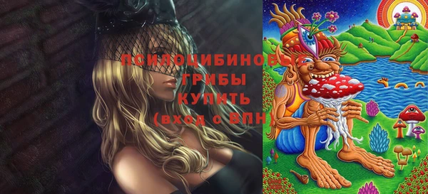 ECSTASY Армянск