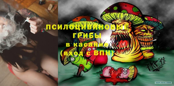 экстази Арсеньев