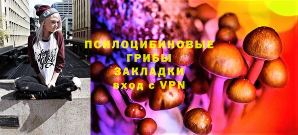 ECSTASY Армянск
