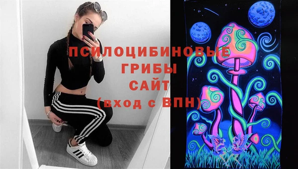 экстази Арсеньев
