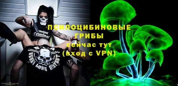 экстази Арсеньев