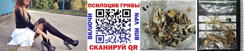 Псилоцибиновые грибы мицелий  omg рабочий сайт  нарко площадка клад  Брянск 